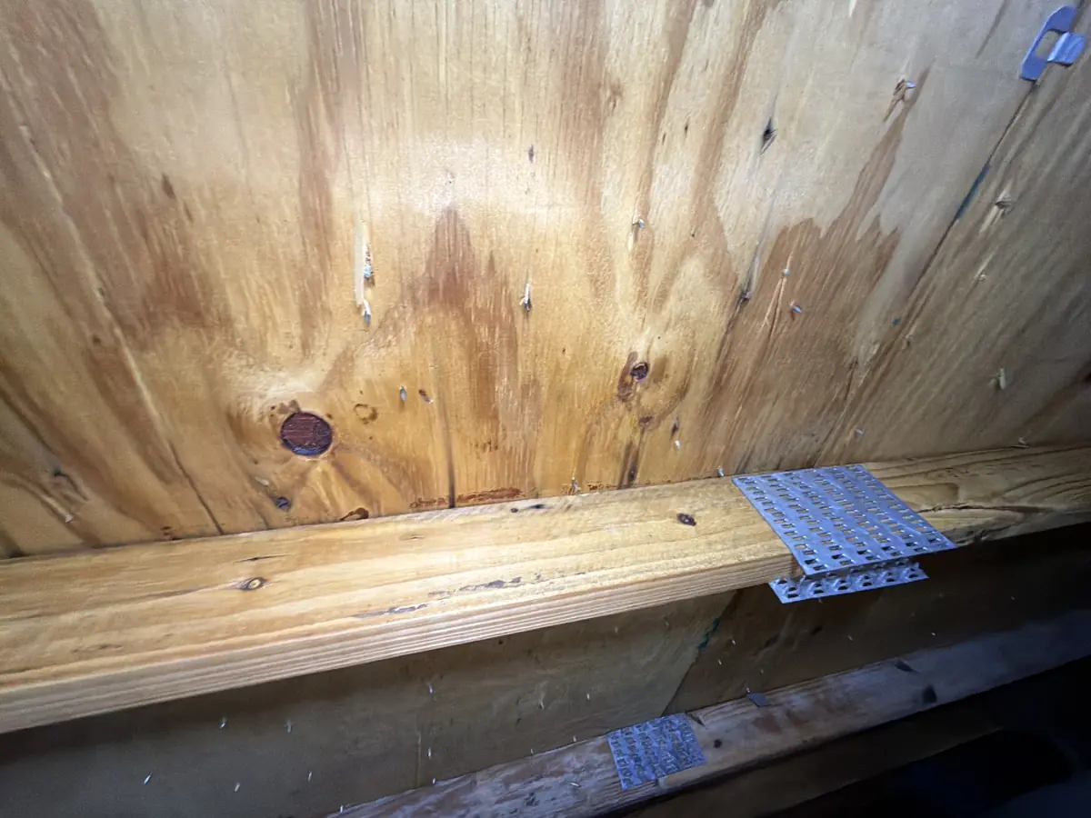 Water stains on roof sheathing seen from the attic during a Florida roof inspection